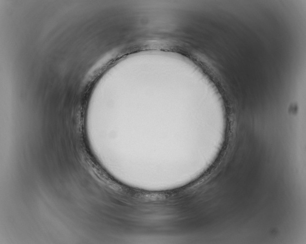 X0000114071403200911161141