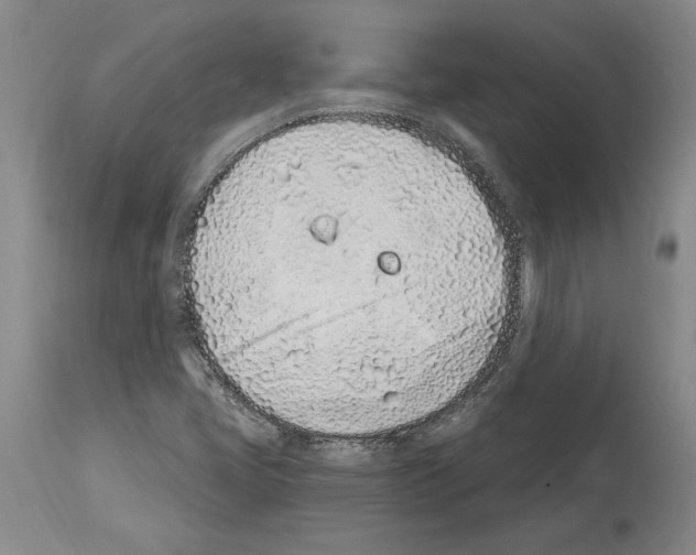 X0000114071405200911161141