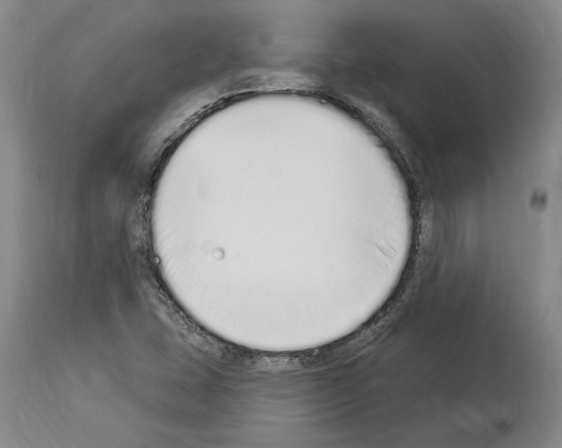 X0000114071407200911161141