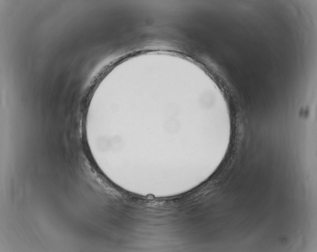 X0000114071408200911161141