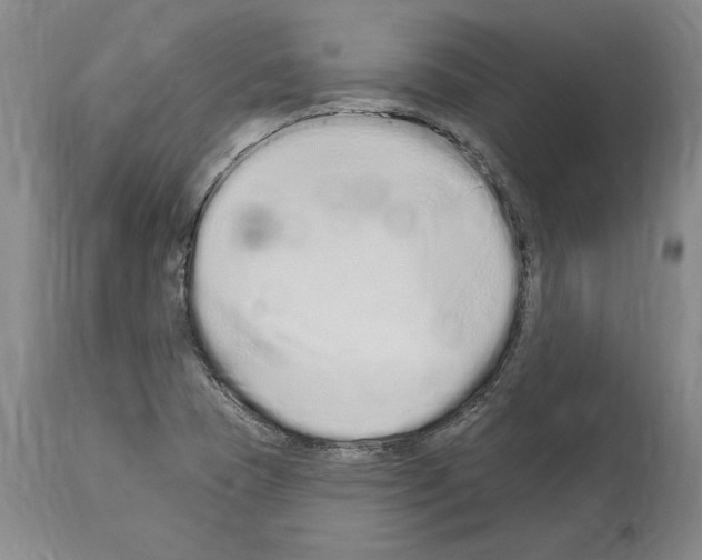 X0000114071409200911161141