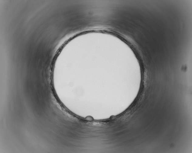 X0000114071412200911161141