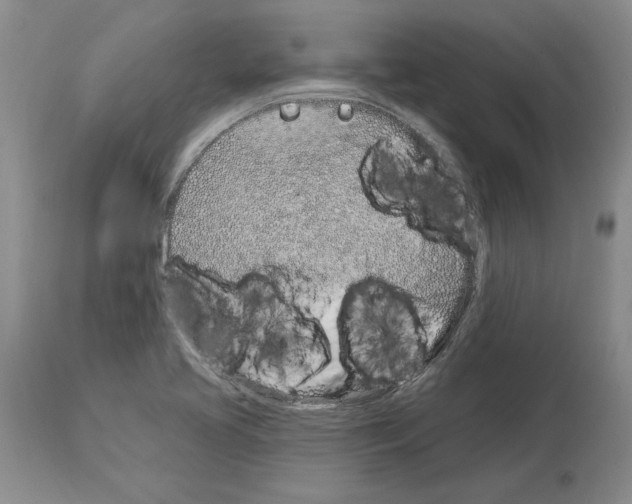 X0000114071413200911161141