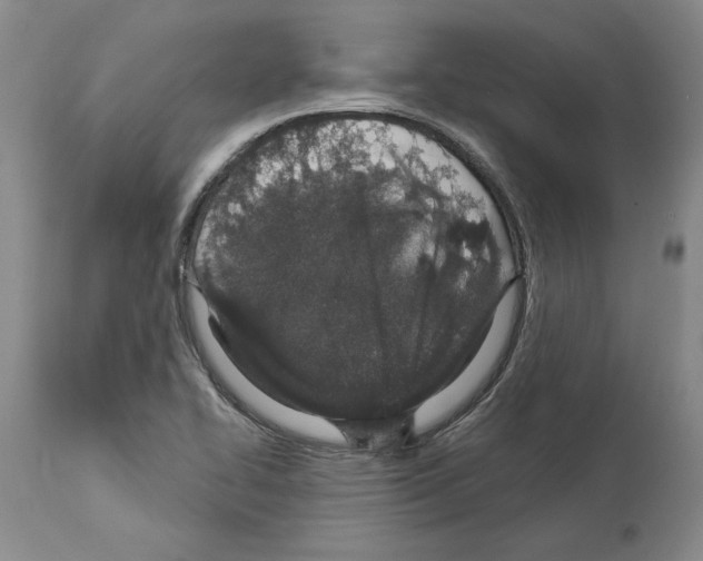 X0000114071414200911161141