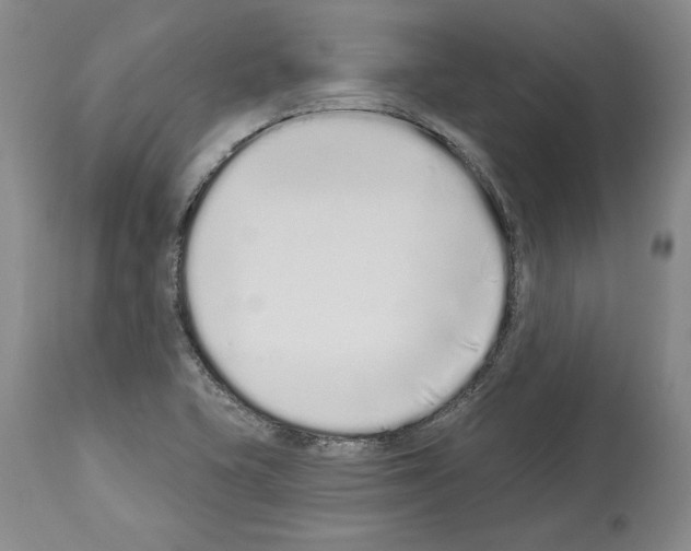 X0000114071415200911161141