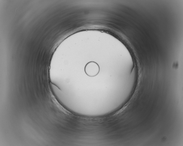 X0000114071417200911161141