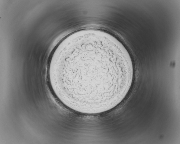 X0000114071418200911161141