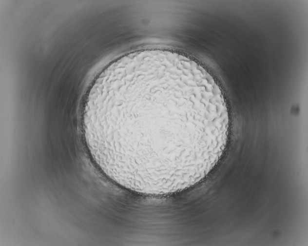 X0000114071419200911161141