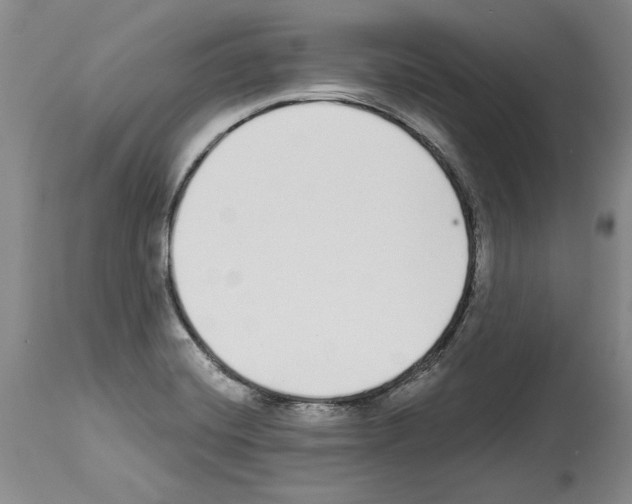 X0000114071420200911161141