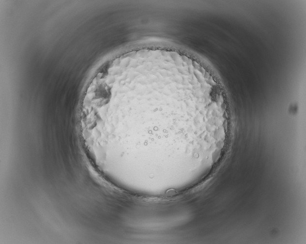 X0000114071421200911161141