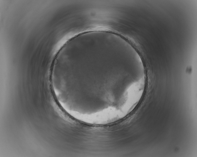 X0000114071422200911161141