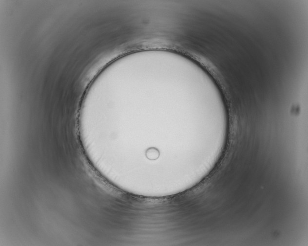 X0000114071423200911161141