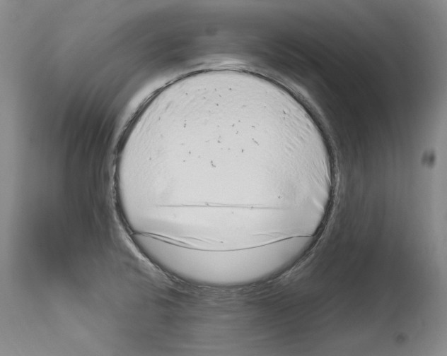 X0000114071424200911161141