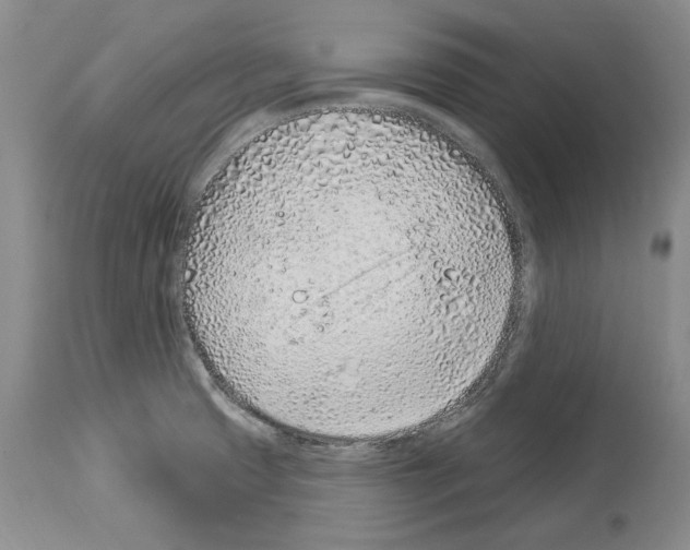 X0000114071425200911161141