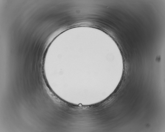 X0000114071426200911161141