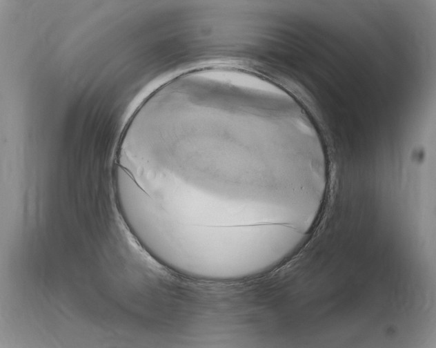 X0000114071428200911161141