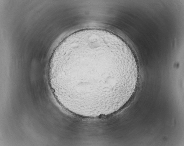 X0000114071429200911161141