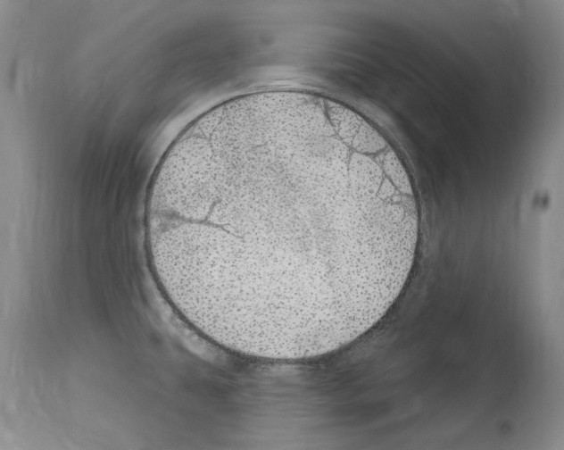 X0000114071431200911161141