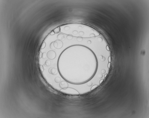 X0000114071432200911161141