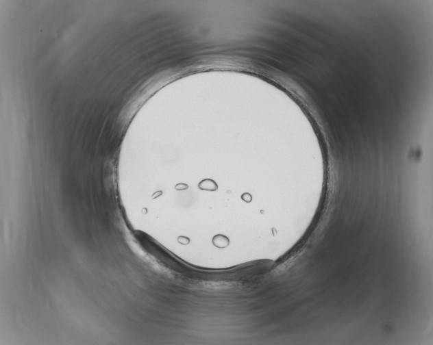 X0000114071433200911161141