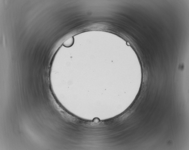 X0000114071434200911161141