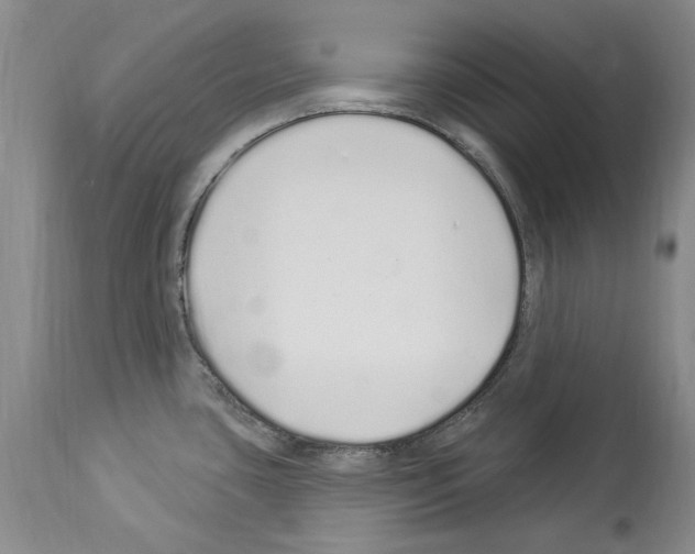 X0000114071435200911161142