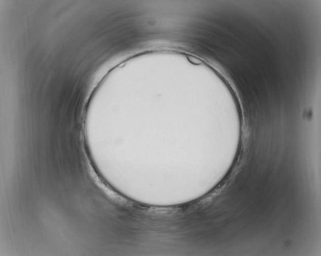 X0000114071437200911161142