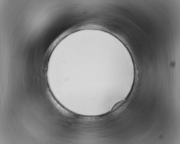 X0000114071438200911161142