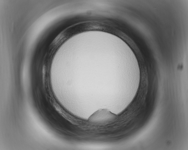 X0000114071439200911161142