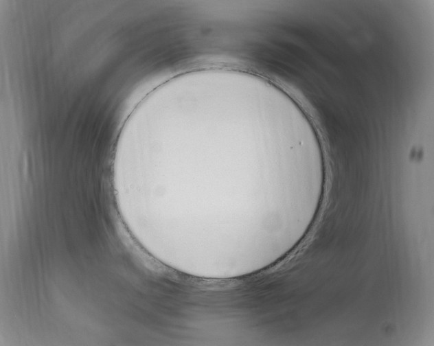 X0000114071440200911161142