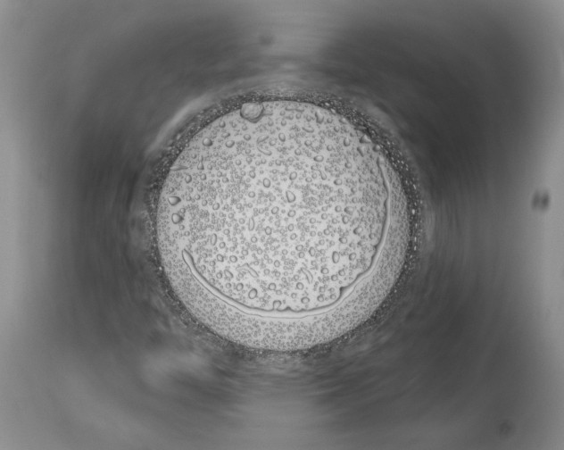 X0000114071446200911161141