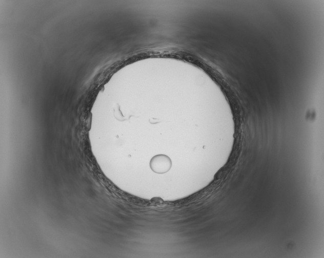 X0000114071447200911161141