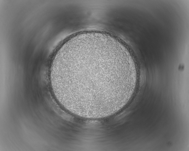 X0000114071454200911161141