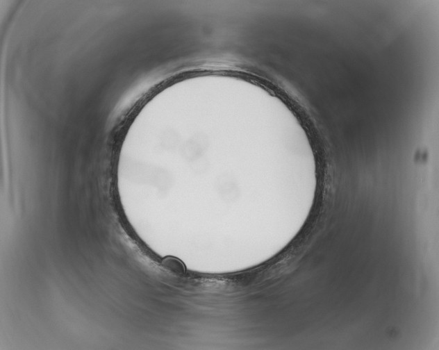 X0000114071456200911161141