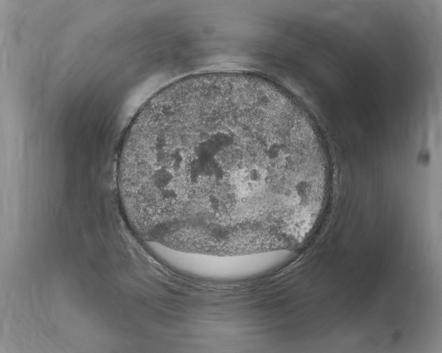 X0000114071459200911161140