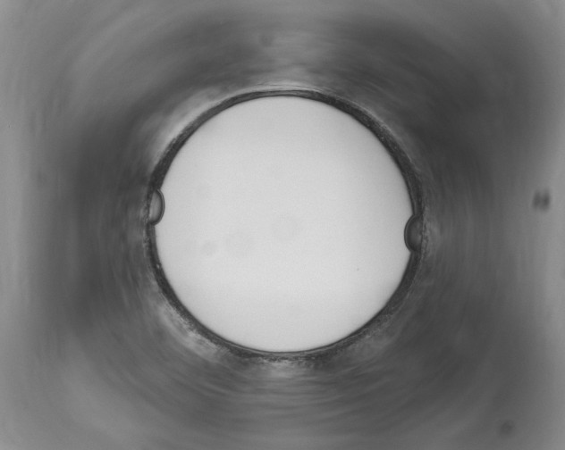 X0000114071460200911161140