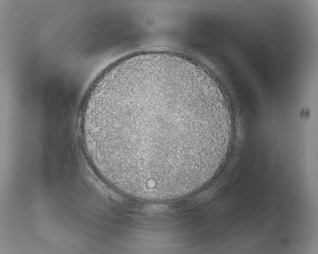 X0000114071462200911161140