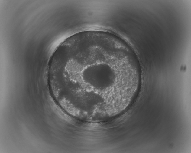 X0000114071463200911161140