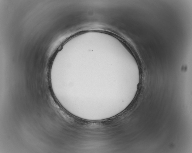 X0000114071464200911161140