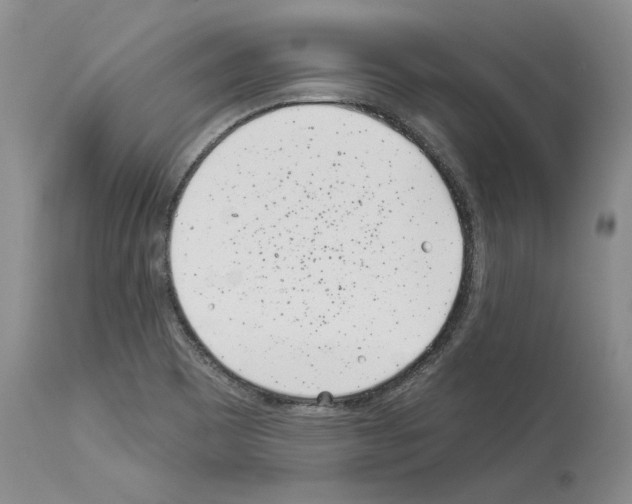 X0000114071465200911161140