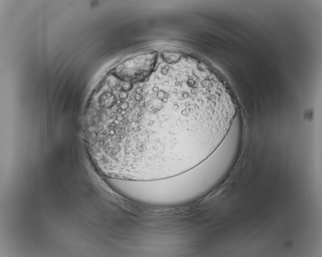 X0000114071467200911161140