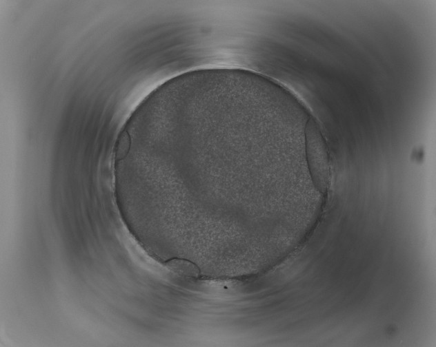 X0000114071468200911161140