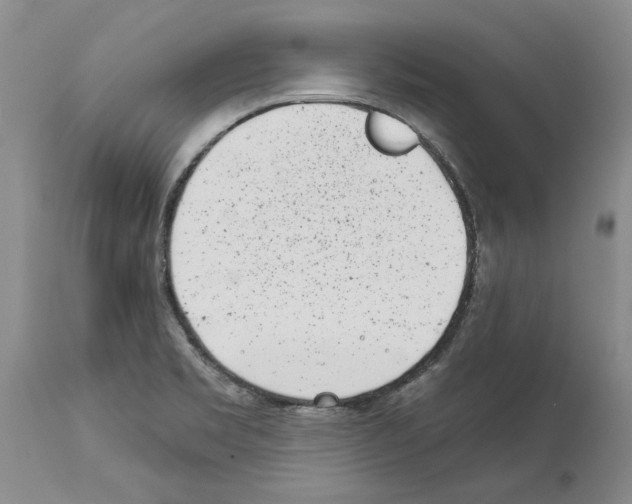 X0000114071469200911161140