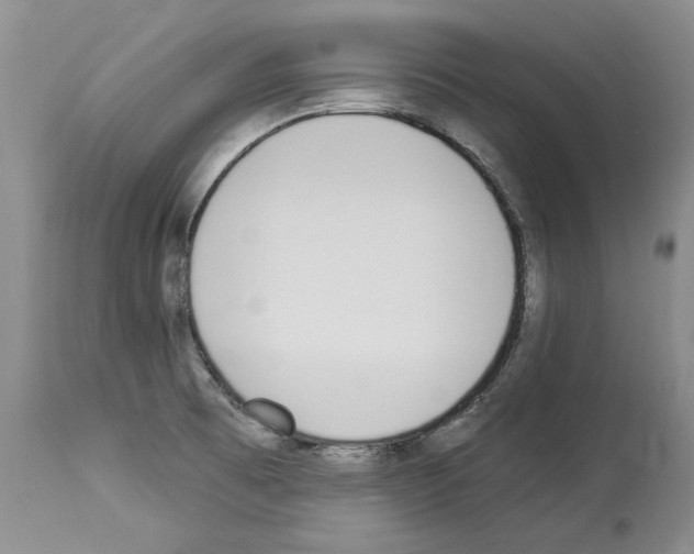 X0000114071473200911161140