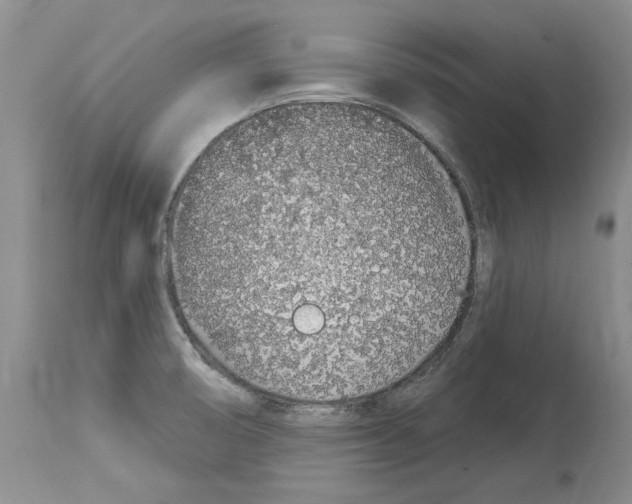 X0000114071474200911161140