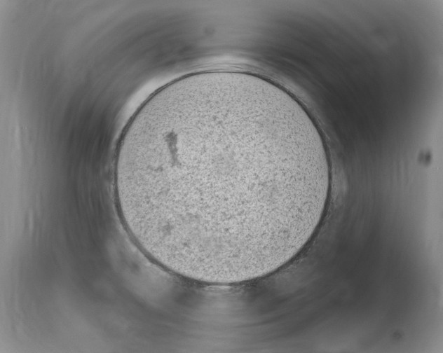 X0000114071478200911161140