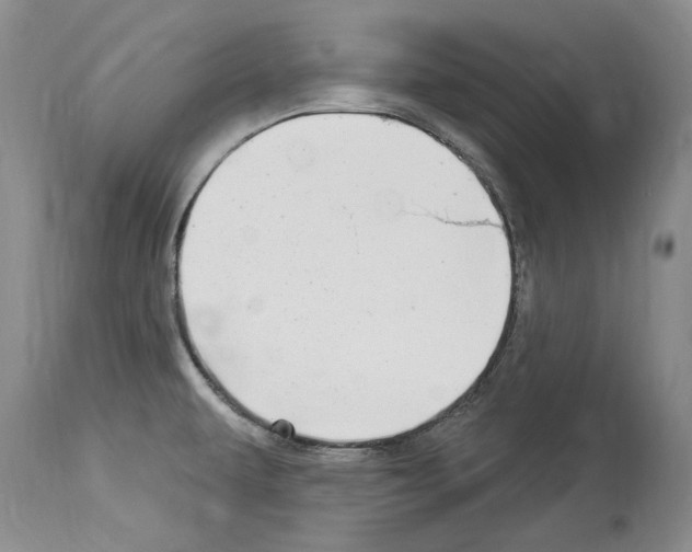 X0000114071479200911161140