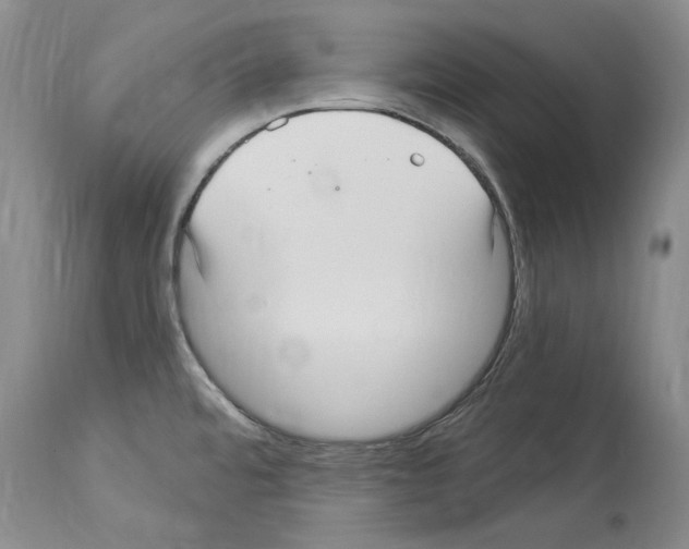 X0000114071480200911161140