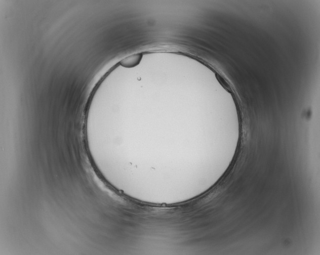 X0000114071484200911161140