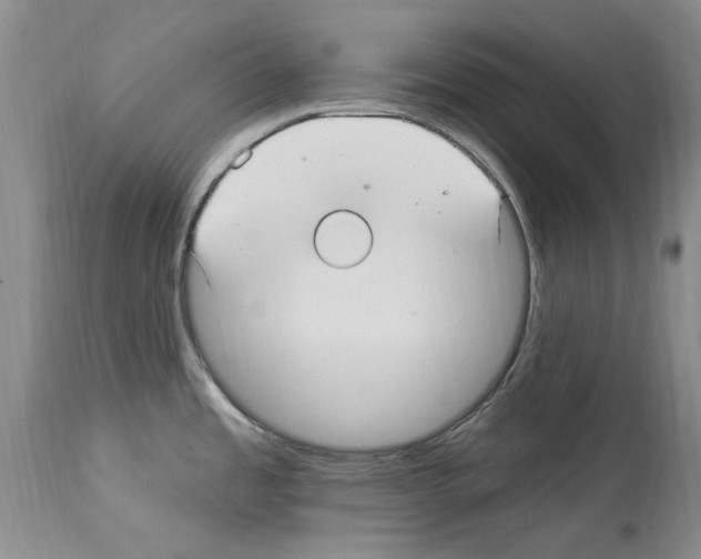 X0000114071485200911161140